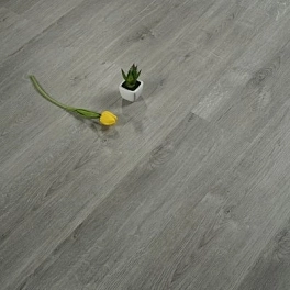SPC ламинат OneFloor wood ЕСО 8001